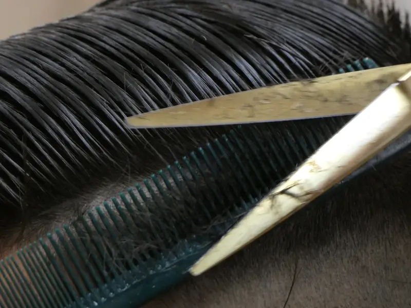 ¿Cada cuánto debe cortarse el pelo un hombre? La respuesta del barbero